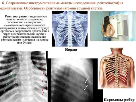 Как проводится диагностика заложенной грудной клетки