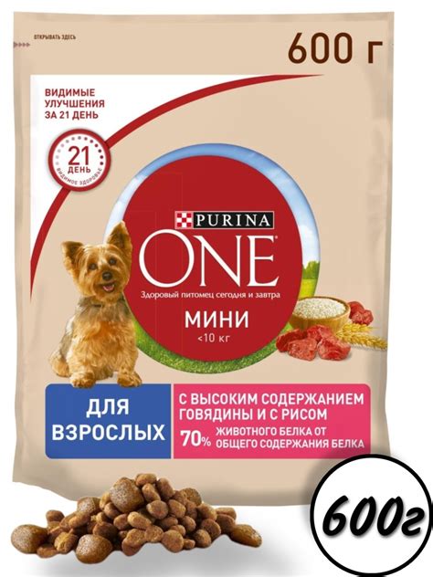 Как продукты Пурина улучшают здоровье питомца