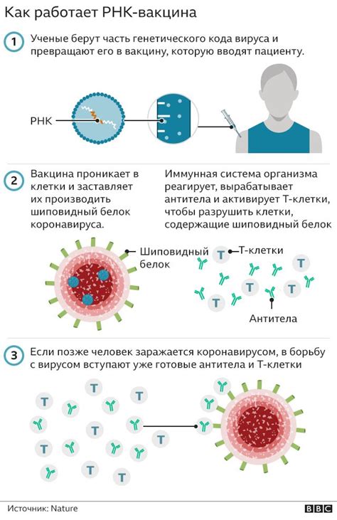 Как происходит диагностика Кавид-19?