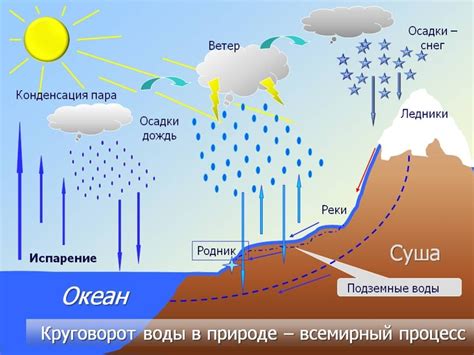 Как происходит расширение Сильвиевых щелей