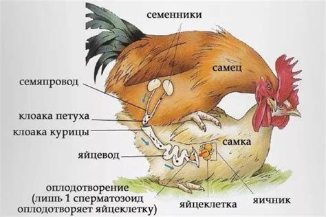 Как происходит самоаннигиляция?