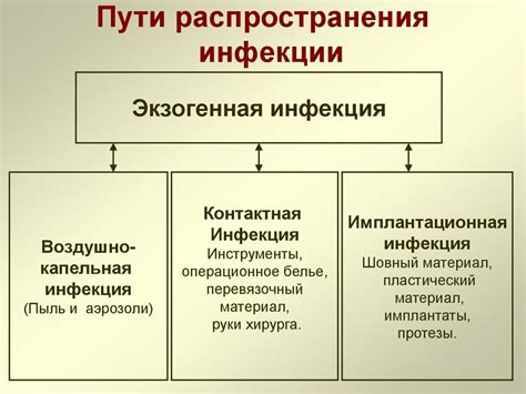 Как происходит эндогенный путь заражения?