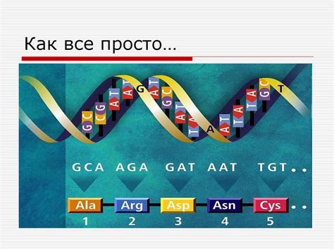 Как работает генетический код?