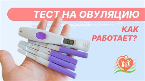 Как работает тест на овуляцию?