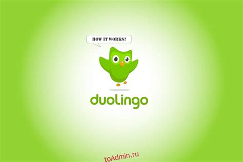 Как работает Duolingo?