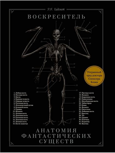 Как разгадать сакральные значения насекомых и фантастических существ в снах?