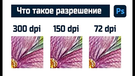 Как разрешение dpi 150 влияет на четкость изображения?