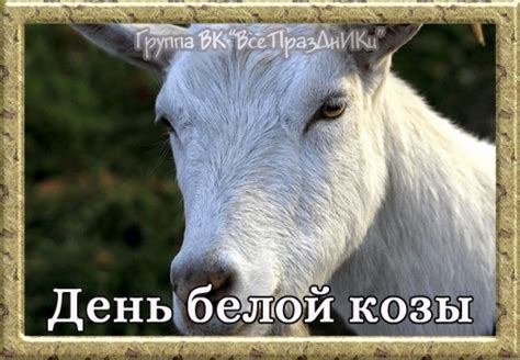 Как распознать, что символ тусклой мужественной козы имеет персональное значение на самом деле