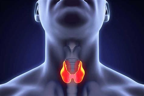 Как распознать диффузное изменение щитовидной железы