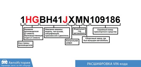 Как расшифровать номер с символом триколора