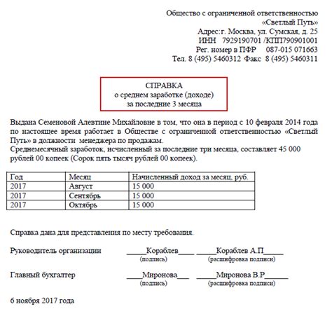 Как решить проблему отсутствия справки о доходах для социальной защиты?