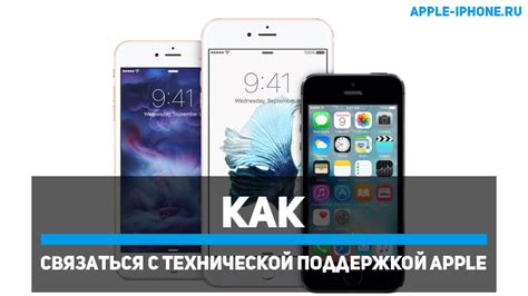 Как связаться с Apple для уточнения даты начала гарантии?