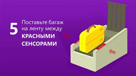 Как сдать регистрируемый багаж в аэропорту