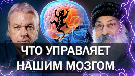 Как соразмерность воспринимаемого отражается на нашем разуме?