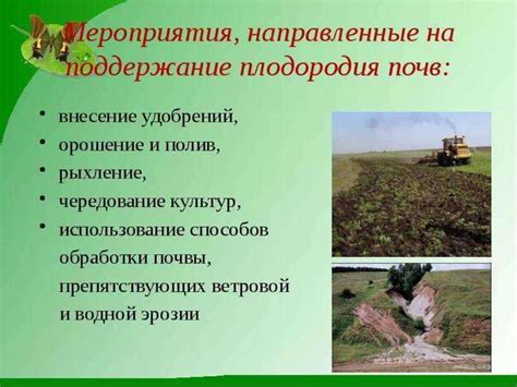 Как сохранить плодородие почвы с помощью системы водоотведения для сои?