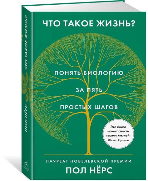 Как стать шаути: пять простых шагов