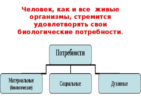 Как удовлетворять биологические потребности