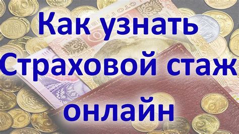 Как узнать свой страховой стаж?