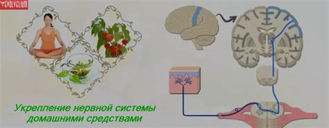 Как укрепить нервы: физические методы