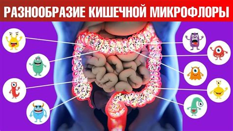 Как улучшить здоровье кишечника: народные методы для нормализации работы толстого кишечника