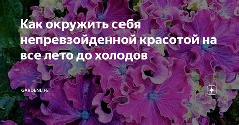 Как установить, что человек обладает непревзойденной красотой?