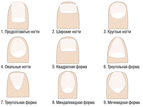 Как форма ногтей у человека отражает его состояние и здоровье