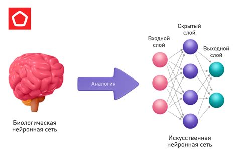 Как функционирует нейросеть?