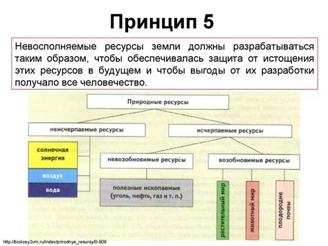 Как эталон приводит к формированию устойчивого характера