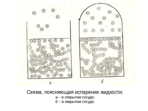 Капиллярное действие идеальной жидкости