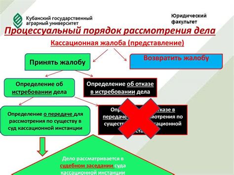 Кассационное производство и его значимость