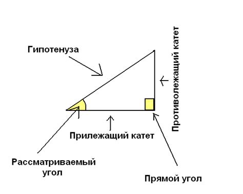 Катеты