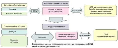 Кислород у человека: важность и измерение