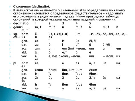 Классика на латинском языке: исторический обзор и значения