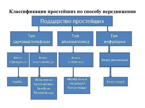 Классификация