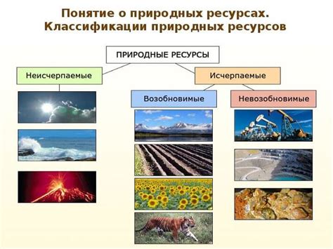 Классификация и использование