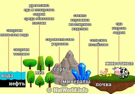 Классификация как инструмент для образования и популяризации природы