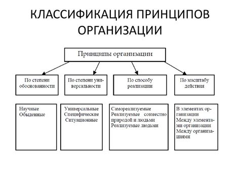 Классификация основных принципов