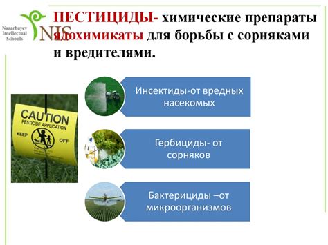 Классификация токсичности: уровень влияния на окружающую среду и здоровье