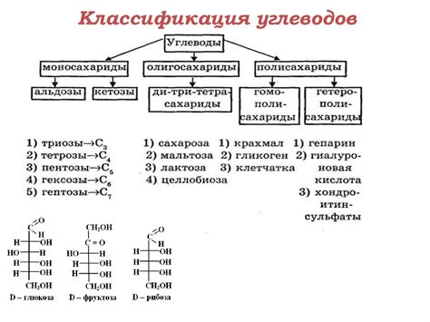 Классификация углеводов