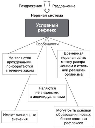 Классификация условных отношений