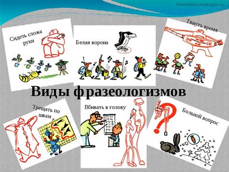 Классификация фразеологизмов: виды и примеры