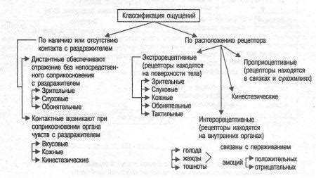 Классификация явлений