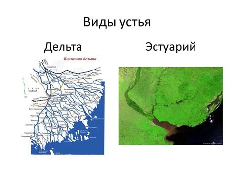 Климатические факторы устьев рек