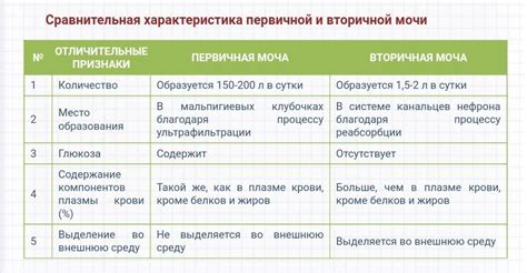 Ключевые особенности первичной выплаты