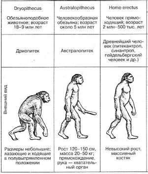 Ключевые особенности эпического рода