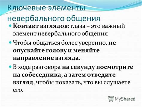 Ключевые элементы ищущего взгляда