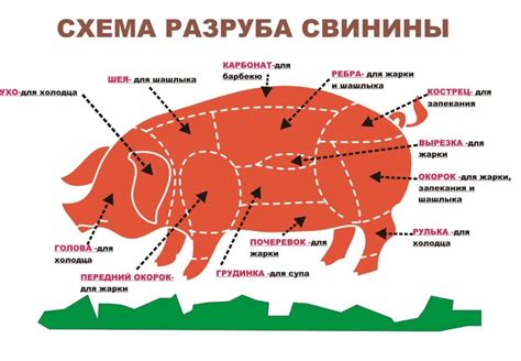 Ключ к преодолению трудностей: символическое значение разделки туши свиньи