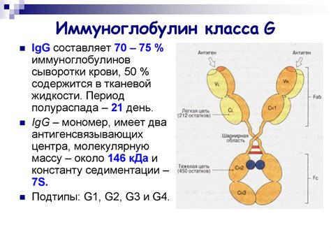 Когда может возникнуть нехватка иммуноглобулинов класса G?