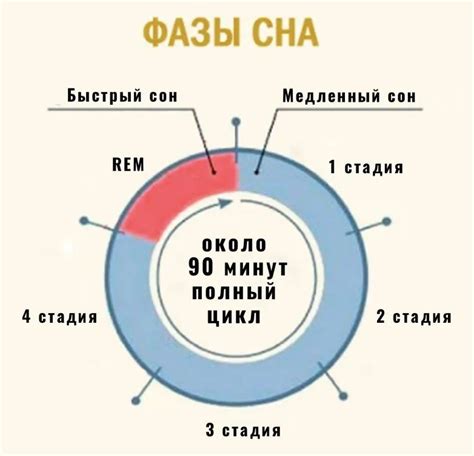 Когда наступает терминальная фаза?