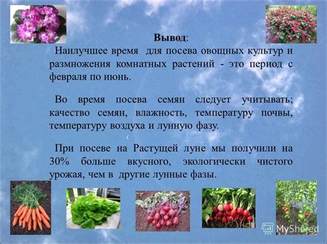 Когда начинать посев семени: разбираем пословицу "До поры до времени не сеют семени"